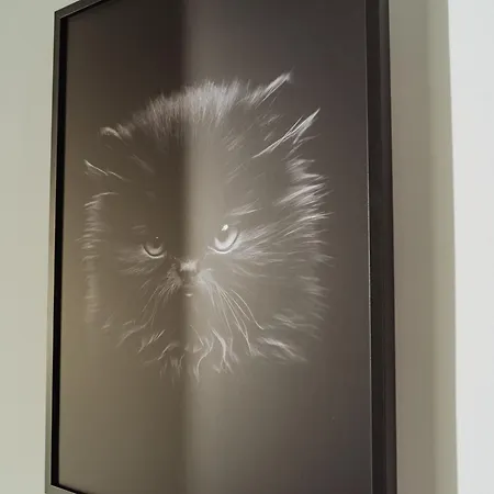 Charm Plaza Lujerului - Free Private Parking בוקרשט